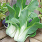 Mr Fothergill's Salad Seeds Pak Choi Yuushou F1 - 175 Seeds