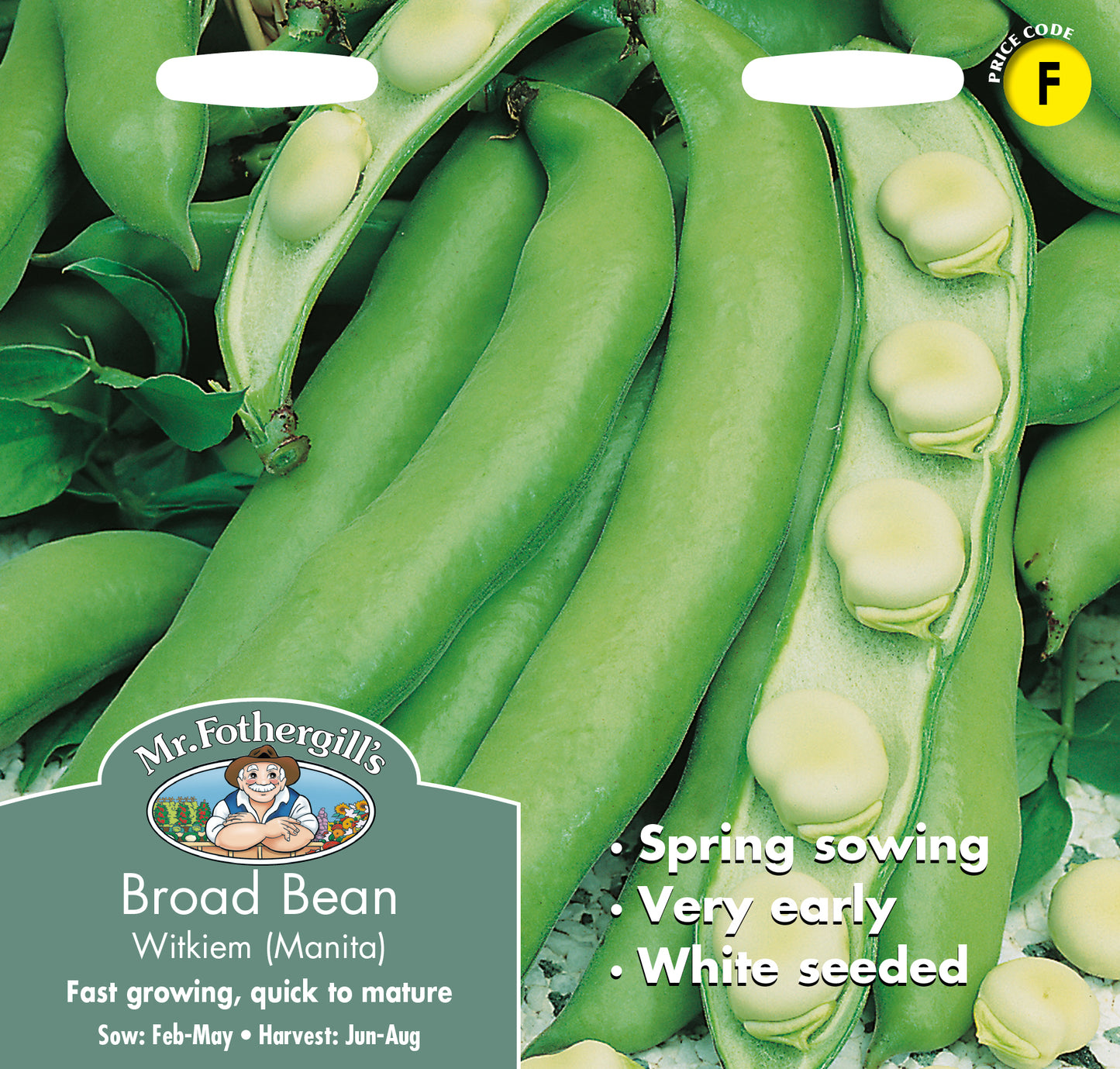 Mr Fothergill's Vegetable Seeds Broad Bean Witkiem Manita - 45 Seeds