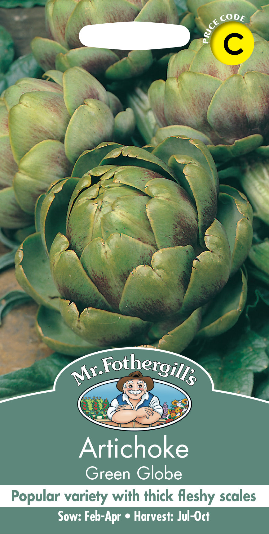 Mr Fothergill's Vegetable Seeds Artichoke Green Globe - 50 Seeds
