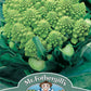 Mr Fothergill's Vegetable Seeds Cauliflower (Broccoli) Romanesco Natalino - 250 Seeds