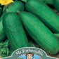 Mr Fothergill's Salad Seeds Cucumber Beth Alpha - 40 Seeds