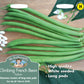 Mr Fothergill's Vegetable Seeds Climbing French Beans Python - 50 Seeds