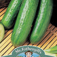 Mr Fothergill's Salad Seeds Cucumber Passandra F1 - 5 Seeds