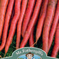 Mr Fothergill's Vegetable Seeds Carrot Malbec F1 Red - 350 Seeds