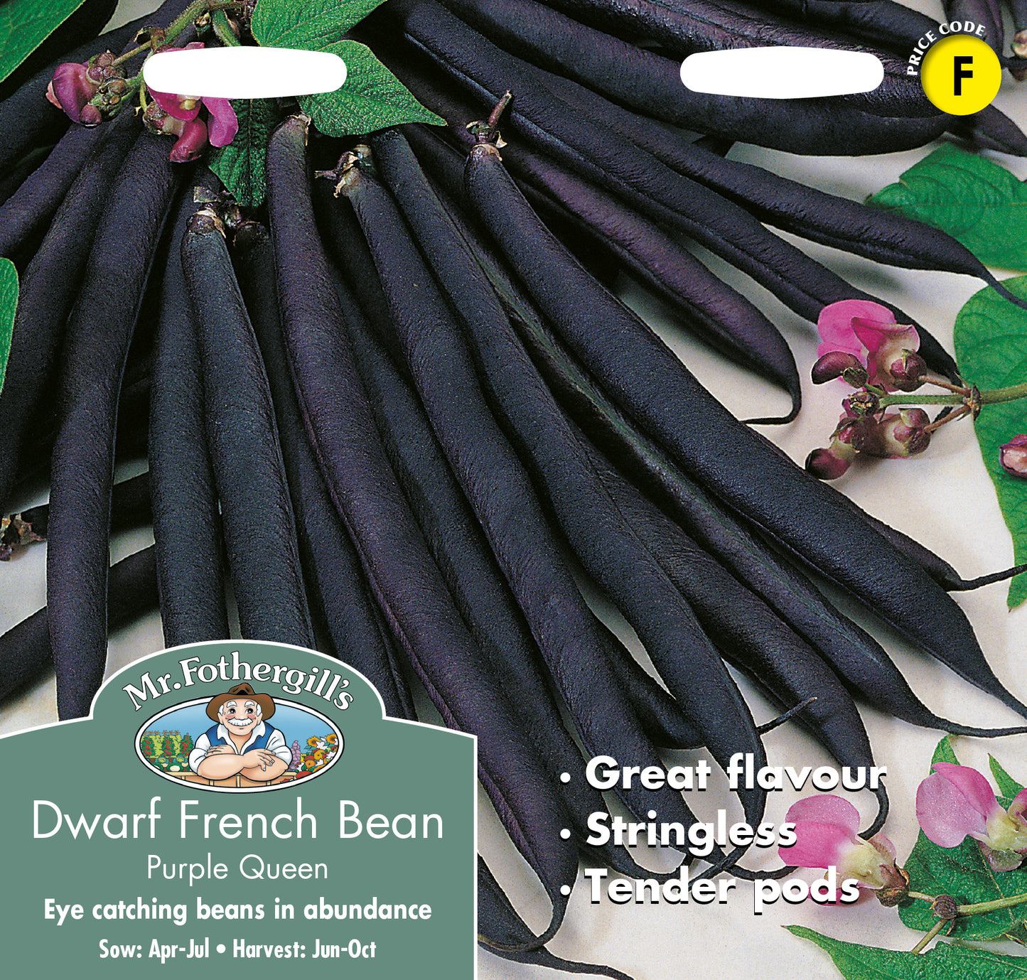 Mr Fothergill's Vegetable Seeds Dwarf French Bean Purple Queen - 100 Seeds