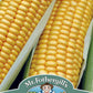 Mr Fothergill's SWEET CORN Swift F1