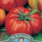 Mr Fothergill's TOMATO Costoluto Fiorentino