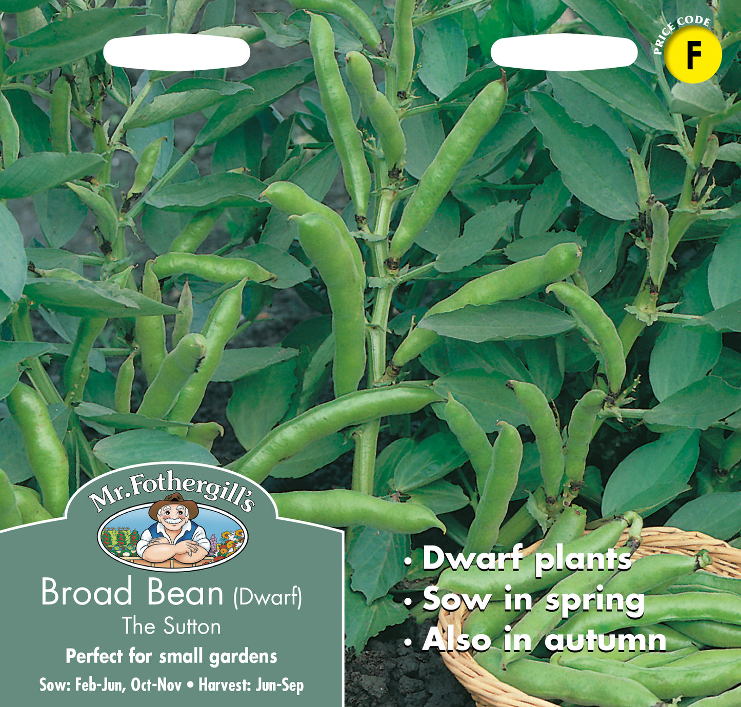 Mr Fothergill's Vegetable Seeds Broad Bean The Sutton Dwarf - 50 Seeds