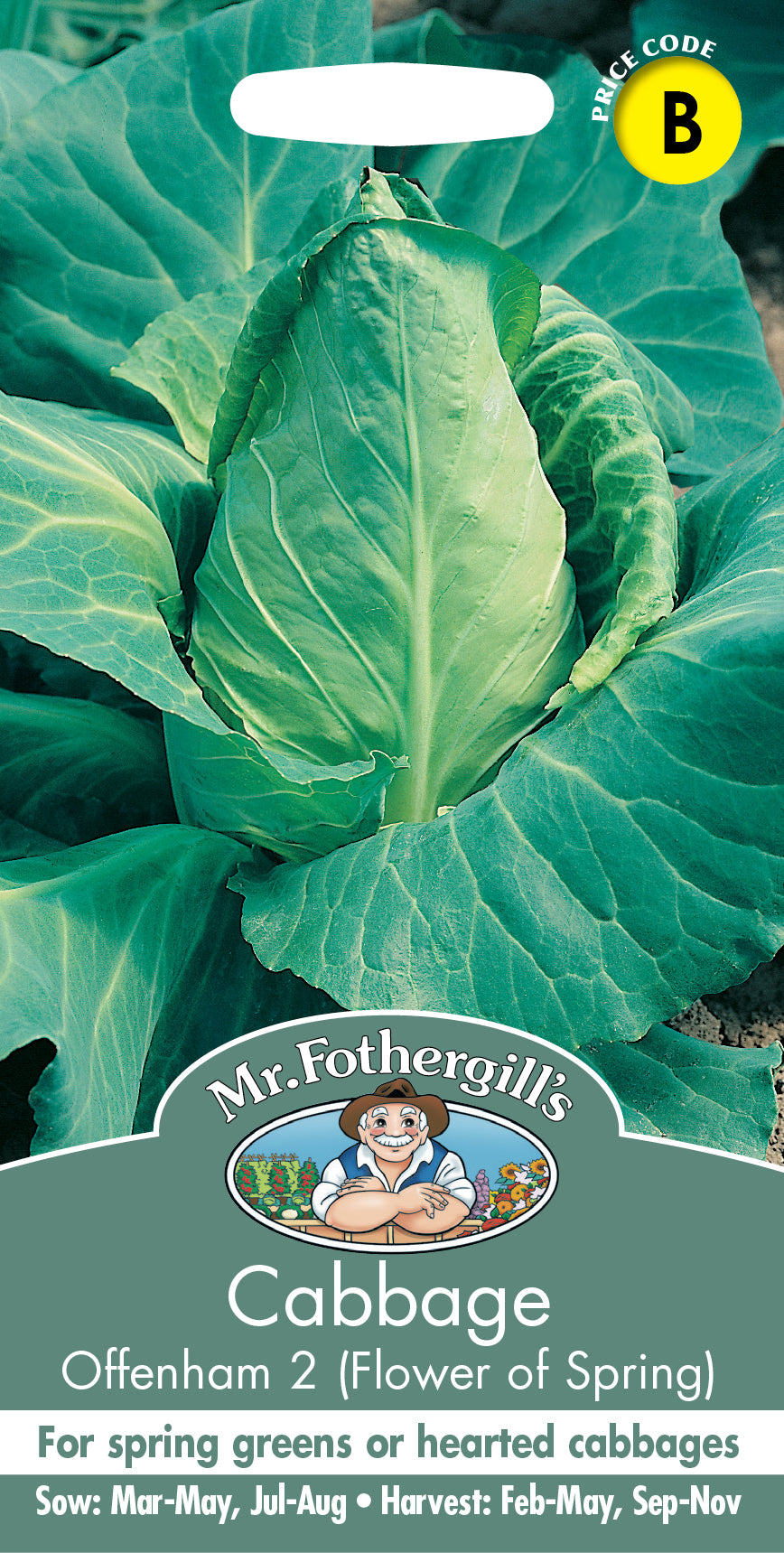 Mr Fothergill's Vegetable Seeds Cabbage Offenham 2 (Flower of Spring) - 500 Seeds