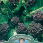 Mr Fothergill's Vegetable Seeds Broccoli Early Purple Sprouting - 500 Seeds