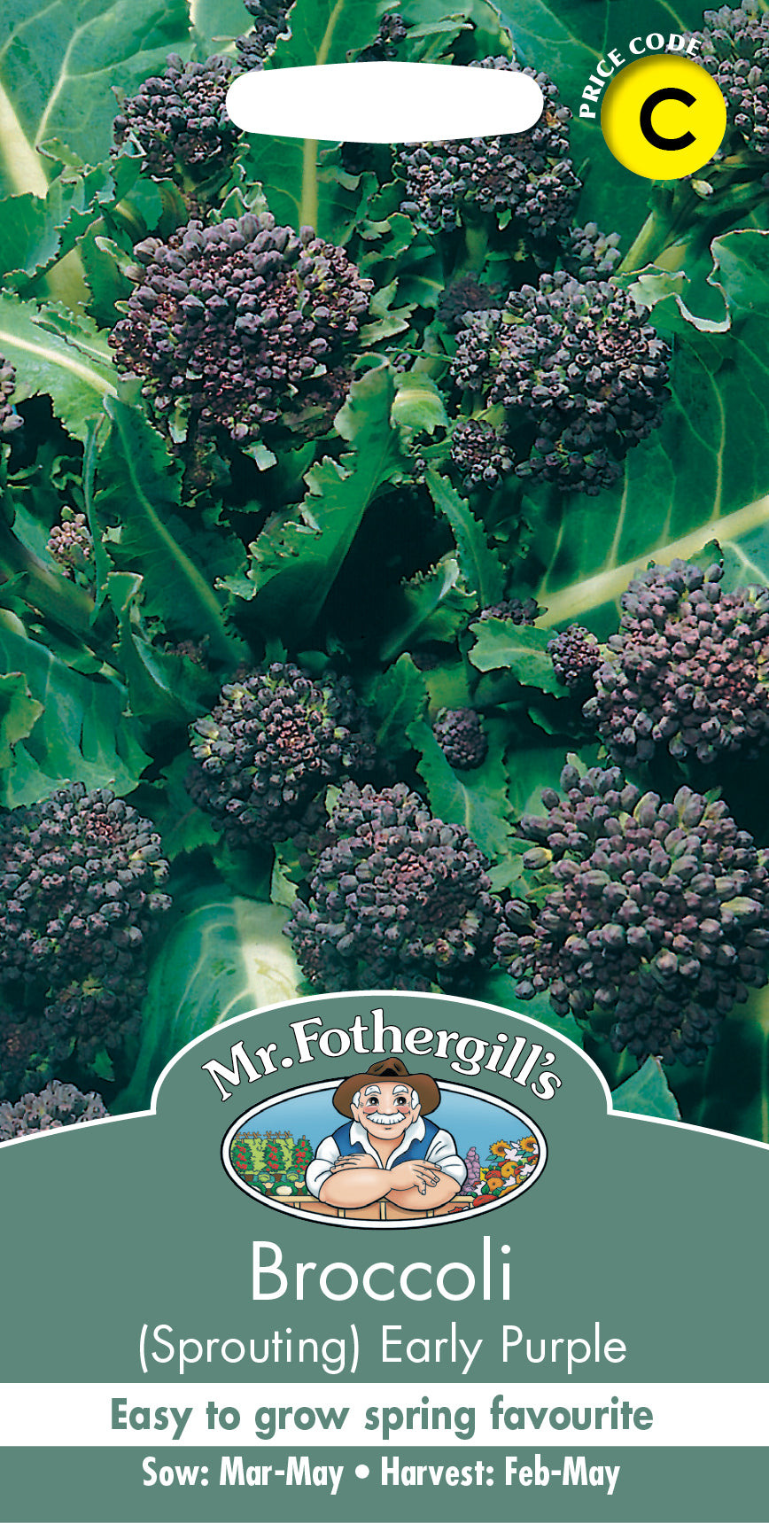 Mr Fothergill's Vegetable Seeds Broccoli Early Purple Sprouting - 500 Seeds