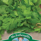 Mr Fothergill's Herb Seeds Coriander Calypso - 150 Seeds