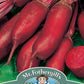 Mr Fothergill's Vegetable Seeds Beetroot Renova - 250 Seeds