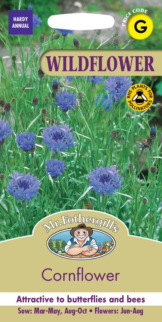 Mr Fothergill's Wildflower Cornflower