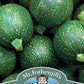 Mr Fothergill's Vegetable Seeds Courgette Tondo di Piacenza - 20 Seeds