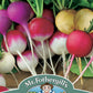 Mr Fothergill's Salad Seeds Radish Bright Lights - 400 Seeds