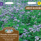 Mr Fothergill's Vegetable Seeds Green Manure Phacelia Tanacetifol - 39g Covers 15sq.m