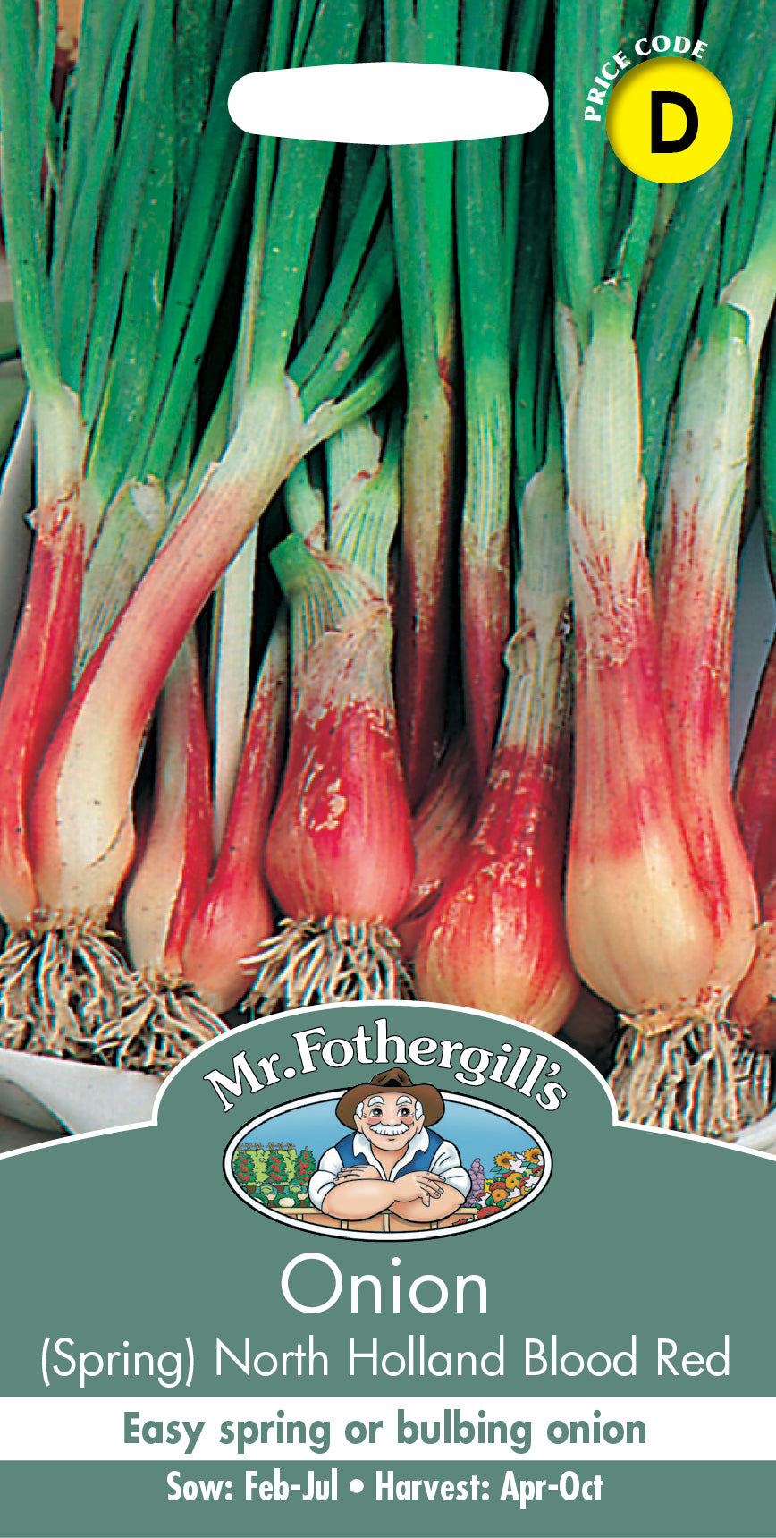 Mr Fothergill's Salad Seeds Onion (Spring) North Holland Blood - 500 Seeds