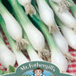 Mr Fothergill's Salad Seeds Onion (Spring) White Lisbon Winter Hardy -