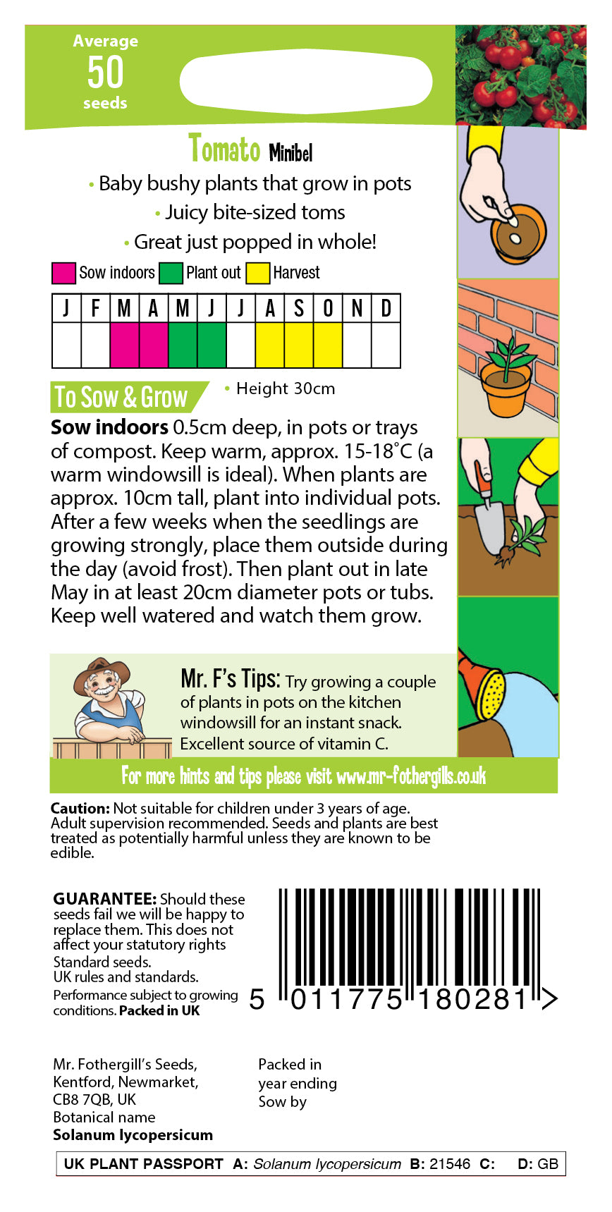 Mr Fothergill's Fun Seeds for Kids to Grow - GOBSTOPPER TOMS Tomato