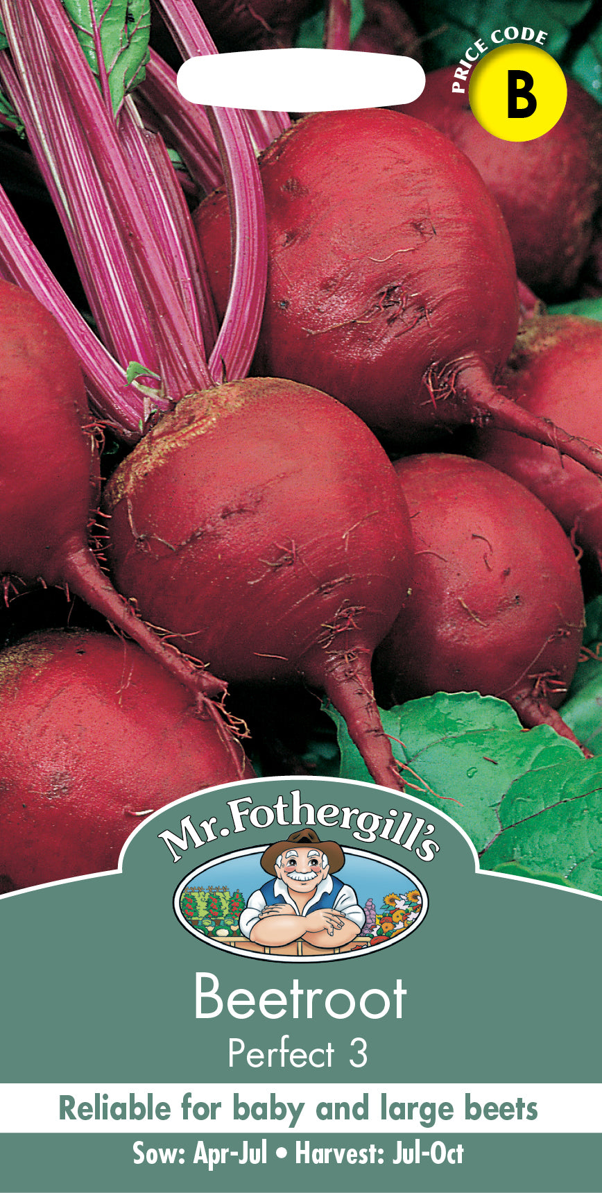 Mr Fothergill's Vegetable Seeds Beetroot Perfect 3 - 275 Seeds