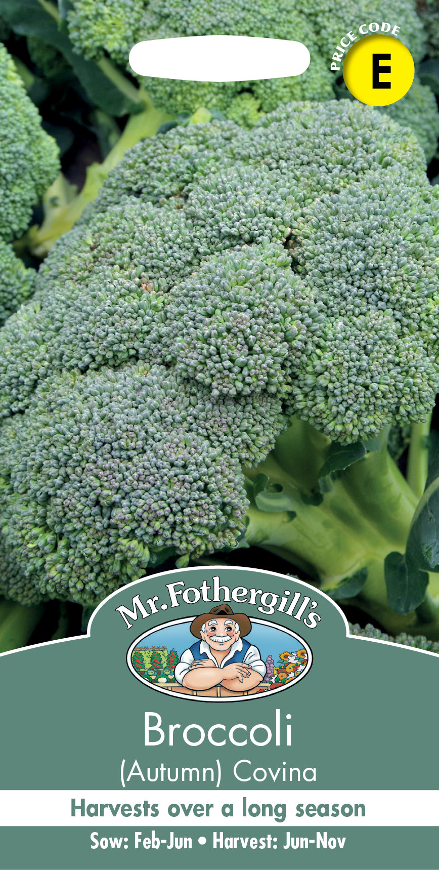 Mr Fothergill's Vegetable Seeds Broccoli Autumn Covina Solid - 50 Seeds