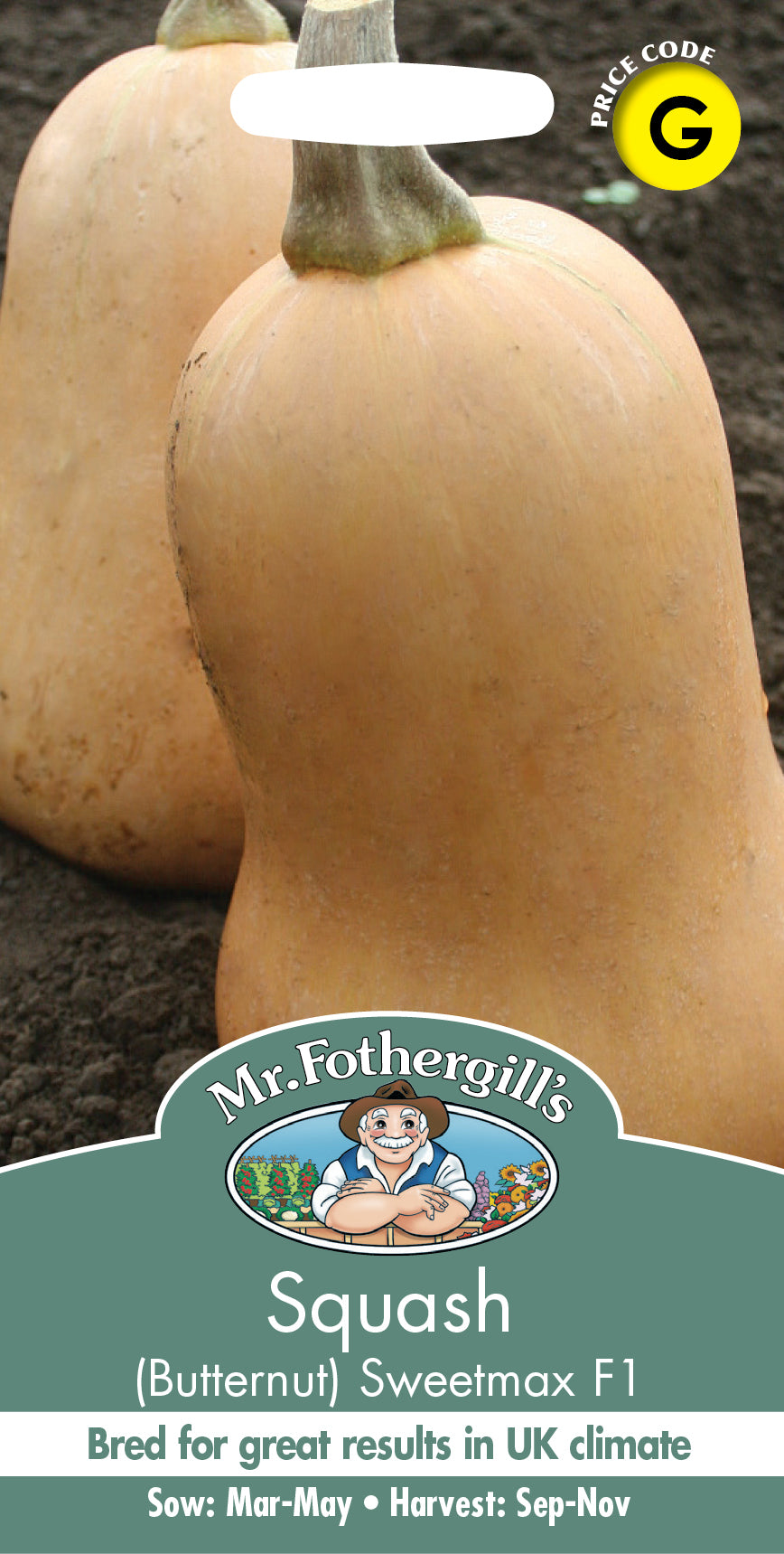 Mr Fothergill's SQUASH Butternut Sweetmax F1