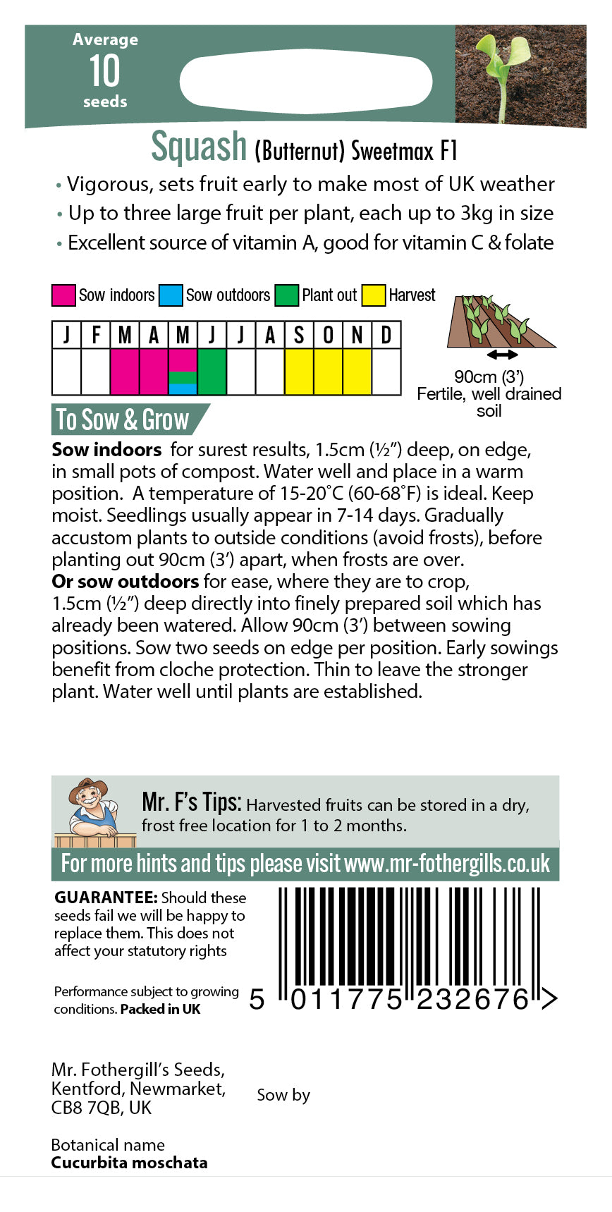 Mr Fothergill's SQUASH Butternut Sweetmax F1