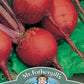 Mr Fothergill's Vegetable Seeds Beetroot Detroit 2 Crimson Globe - 275 Seeds