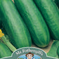 Mr Fothergill's Salad Seeds Cucumber Socrates F1 - 5 Seeds