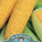 Mr Fothergill's SWEET CORN Incredible F1