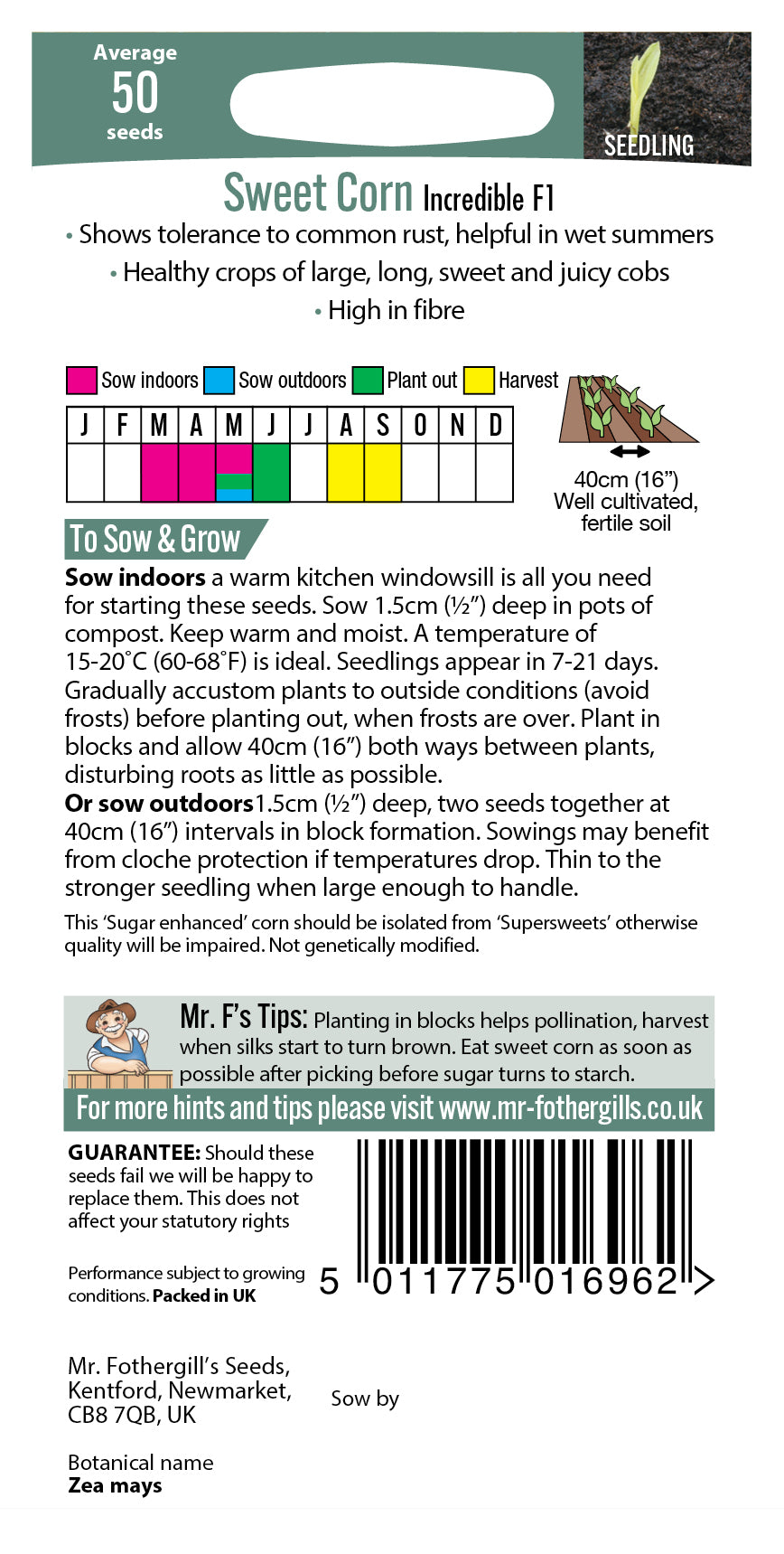 Mr Fothergill's SWEET CORN Incredible F1