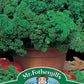 Mr Fothergill's Herb Seeds Parsley Afrodite - 500 Seeds