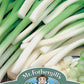 Mr Fothergill's Salad Seeds Onion (Spring) Ishikura - 500 Seeds