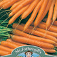 Mr Fothergill's Vegetable Seeds Carrot Amsterdam Forcing 2 Solo - 1,500 Seeds