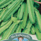 Mr Fothergill's Vegetable Seeds Asparagus Pea - 35 Seeds