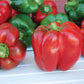 Mr Fothergill's Vegetable Seeds Pepper (Sweet) King of the North - 20 Seeds