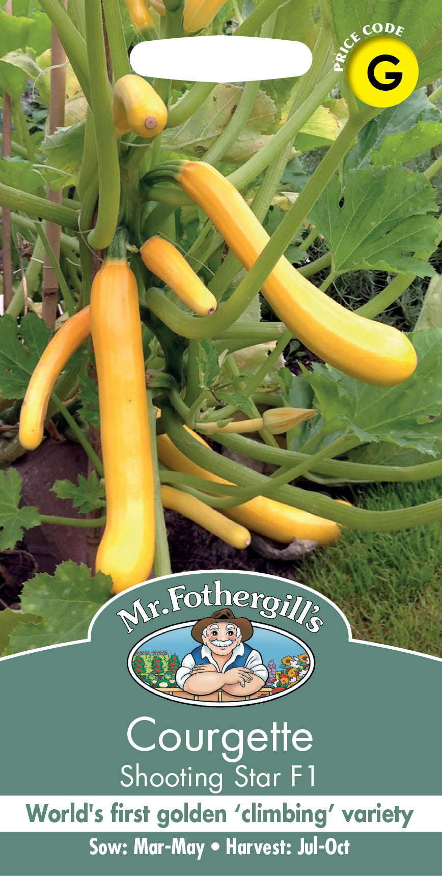 Mr Fothergill's Vegetable Seeds Courgette Shooting Star F1 - 10 Seeds