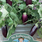 Mr Fothergill's Vegetable Seeds Aubergine Jewel Jet F1 - 10 Seeds