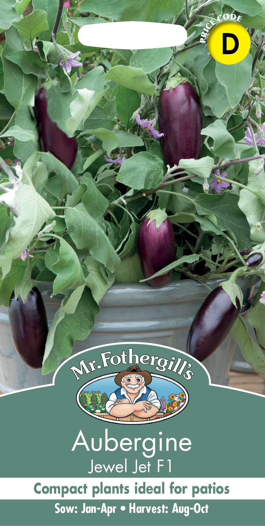 Mr Fothergill's Vegetable Seeds Aubergine Jewel Jet F1 - 10 Seeds