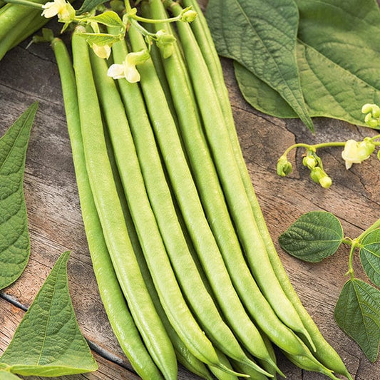 Mr Fothergill's Vegetable Seeds Climbing French Beans Python - 50 Seeds