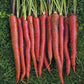 Mr Fothergill's Vegetable Seeds Carrot Malbec F1 Red - 350 Seeds