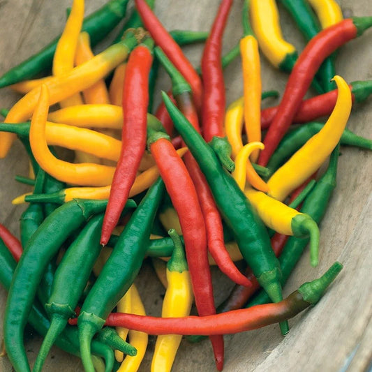 Mr Fothergill's Vegetable Seeds Pepper (Hot) Devil's Brew - 30 Seeds