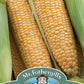 Mr Fothergill's SWEET CORN Rising Sun F1
