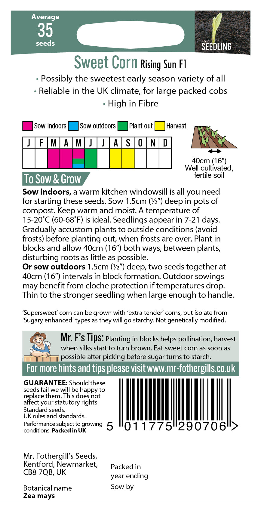 Mr Fothergill's SWEET CORN Rising Sun F1