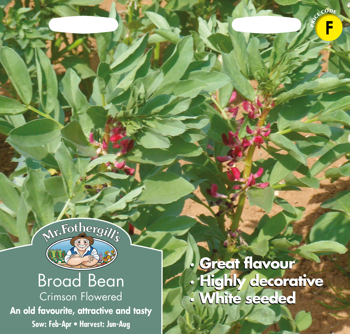 Mr Fothergill's Vegetable Seeds Broad Bean Crimson Flowered - 50 Seeds