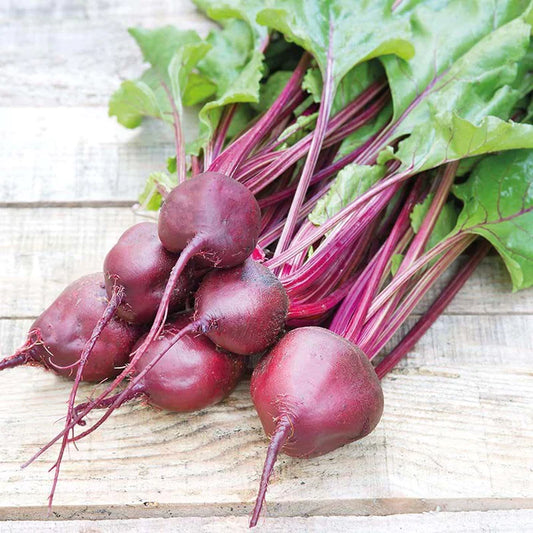 Mr Fothergill's Vegetable Seeds Beetroot Kornett - 150 Seeds