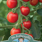 Mr Fothergill's TOMATO Consuelo F1