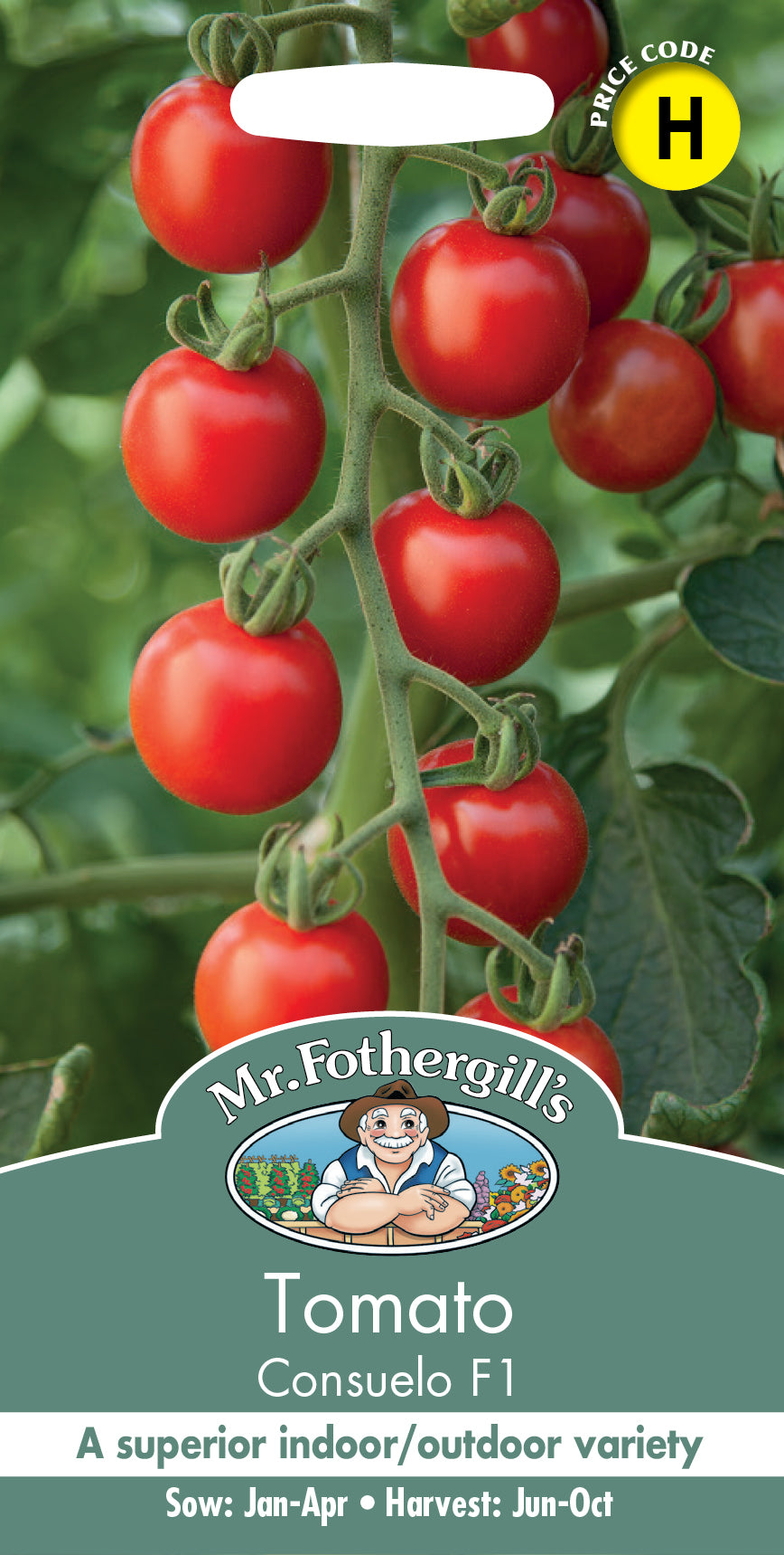 Mr Fothergill's TOMATO Consuelo F1