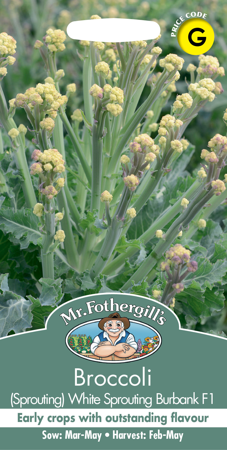 Mr Fothergill's Vegetable Seeds Broccoli White Burbank F1 Sprouting - 30 Seeds